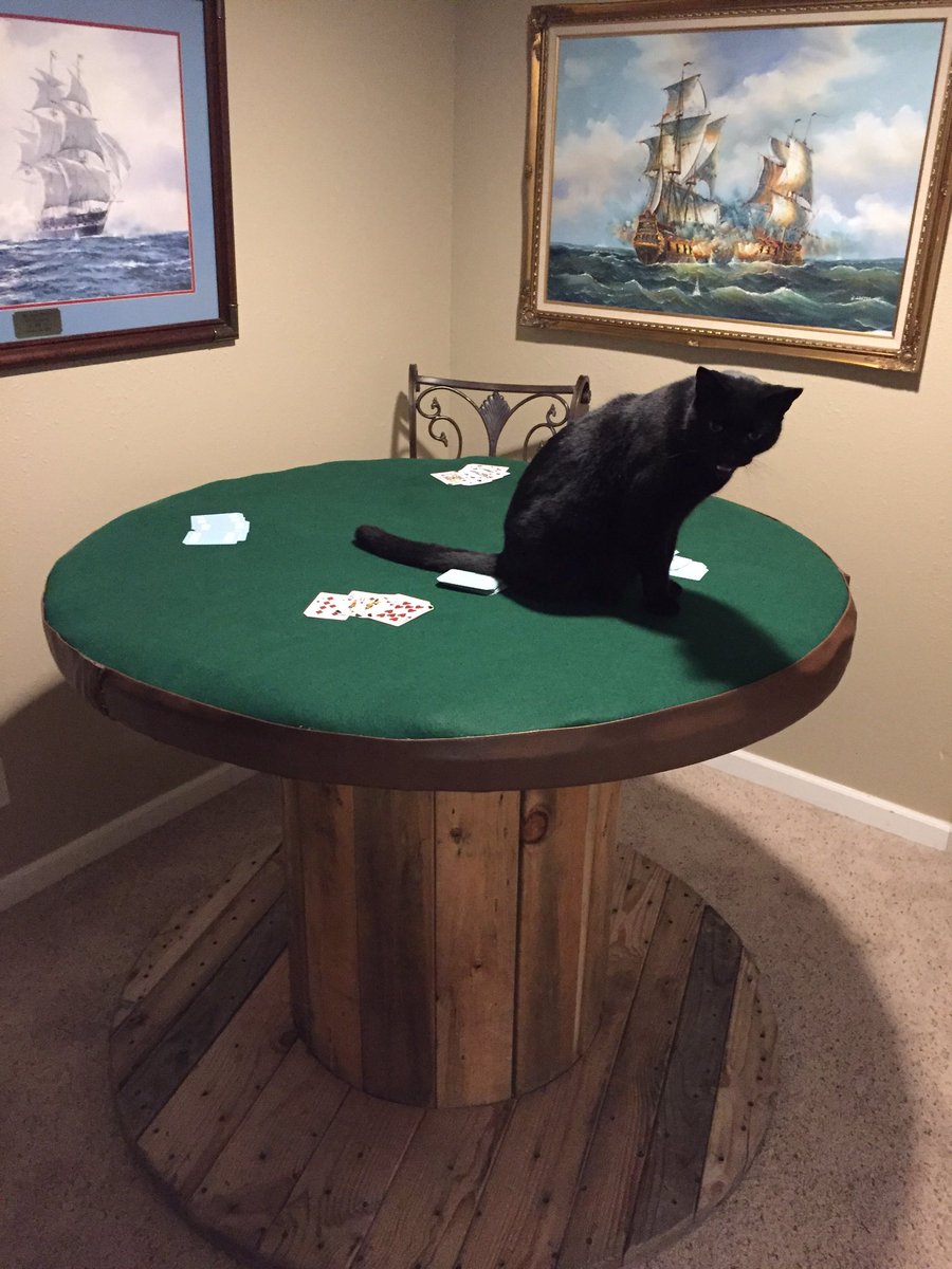 kaarbaak's tweet photo. I meant CAT table not card table #autocorrect https://t.co/NFMZzHHSv7