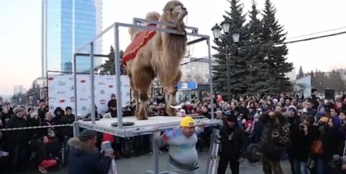 Is this the world’s most bizarre strongman competition? ---> yokestars.com/2016/03/07/is-…