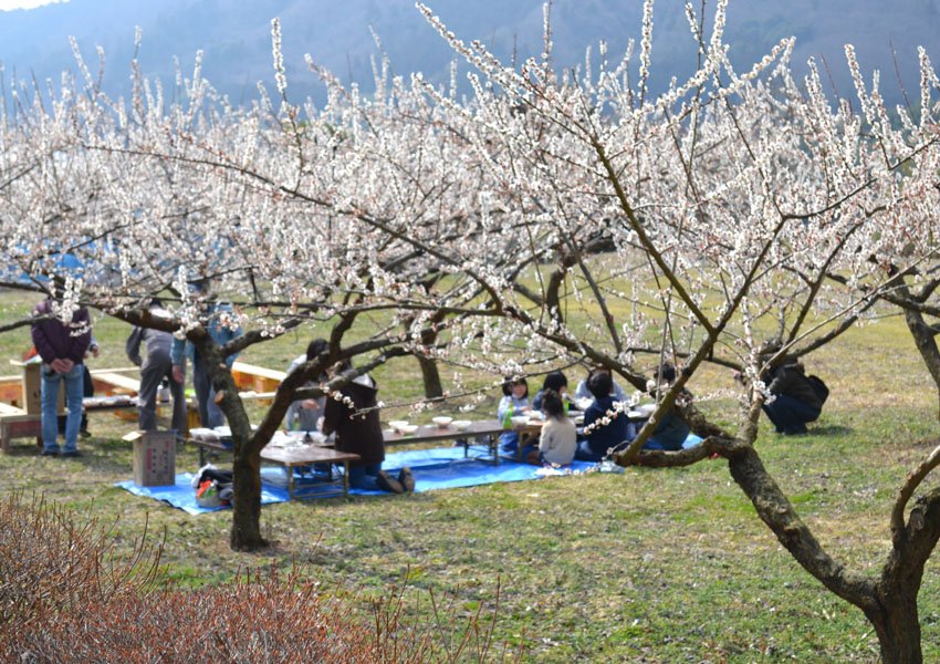 茨城県 常陸太田市 文化課からのお知らせ 3月6日 日 春友 町で お宝散策マップ看板設置 梅を楽しむ会 が開催されました エコミュージアム事業で掘り起こしたお宝を巡ることが出来るよう春友彫刻の森運動公園駐車場に看板を設置し 満開の梅の花を 茨城県 常陸太田市 文化課からのお知らせ 3月6日 日 春友 町で お宝散策マップ看板設置 梅を楽しむ会 が開催されました エコミュージアム事業で掘り起こしたお宝を巡ることが出来るよう春友彫刻の森運動公園駐車場に看板を設置し 満開の梅の花を