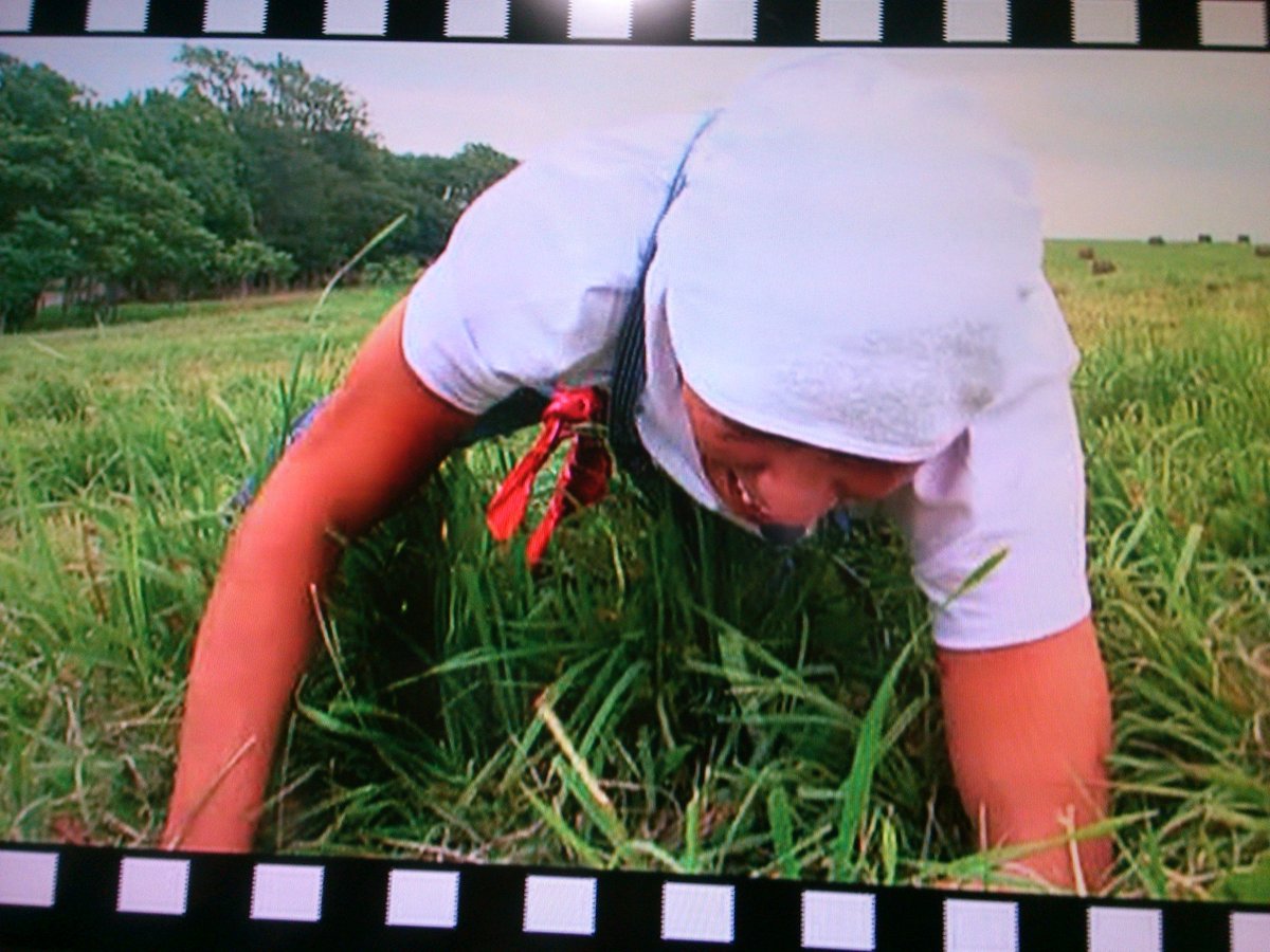 元気が出る運動会 Traola Twitterren