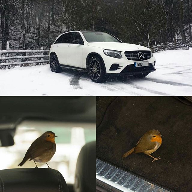 viralrooster's tweet photo. Even nature approves of the #GLC interior. #travelinstyle #amgline #premiumplus ... - https://t.co/JFuDR8lMPl https://t.co/6YdlphxHcg