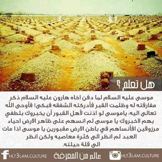 SoriSham's tweet photo. يا الله انت الكريم https://t.co/aOSTY21yL7