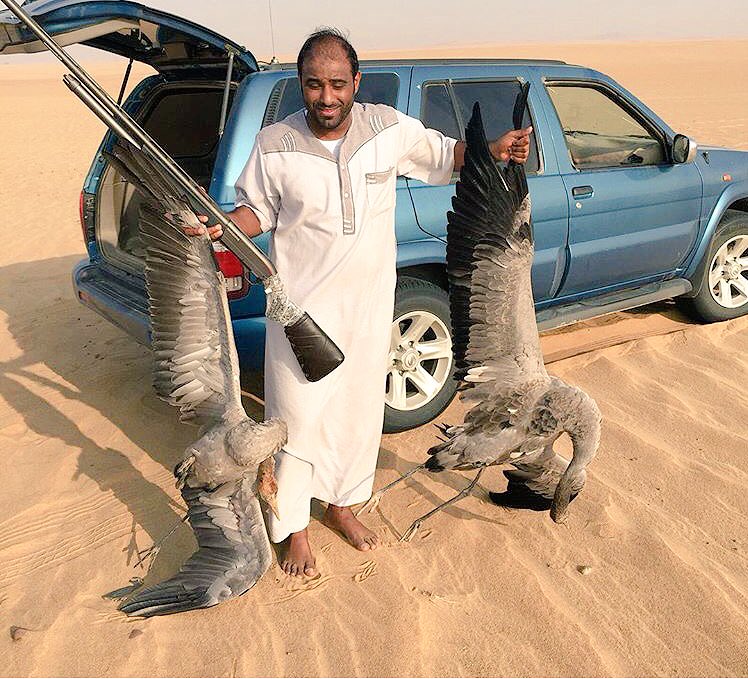 صيد اثنين من الرهو اللهم لك الحمد عند القناص ابوتركي