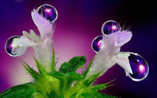 @loving_lana <a href="/elsufuen/">Susana Fuentes</a> <a href="/AslanovElena/">Elena Aslanov(Rahel)</a> <a href="/5Dream555/">Dream</a> <a href="/VICTORJSOSAV/">Víctor Sosa</a> <a href="/armeniangirl4/">Nancy Movsisyan</a> @ARES3O3 <a href="/GERA_8O/">Gerardo Martin Terue</a> <a href="/nabilhasan48/">حسن العراقي</a> GM Лана