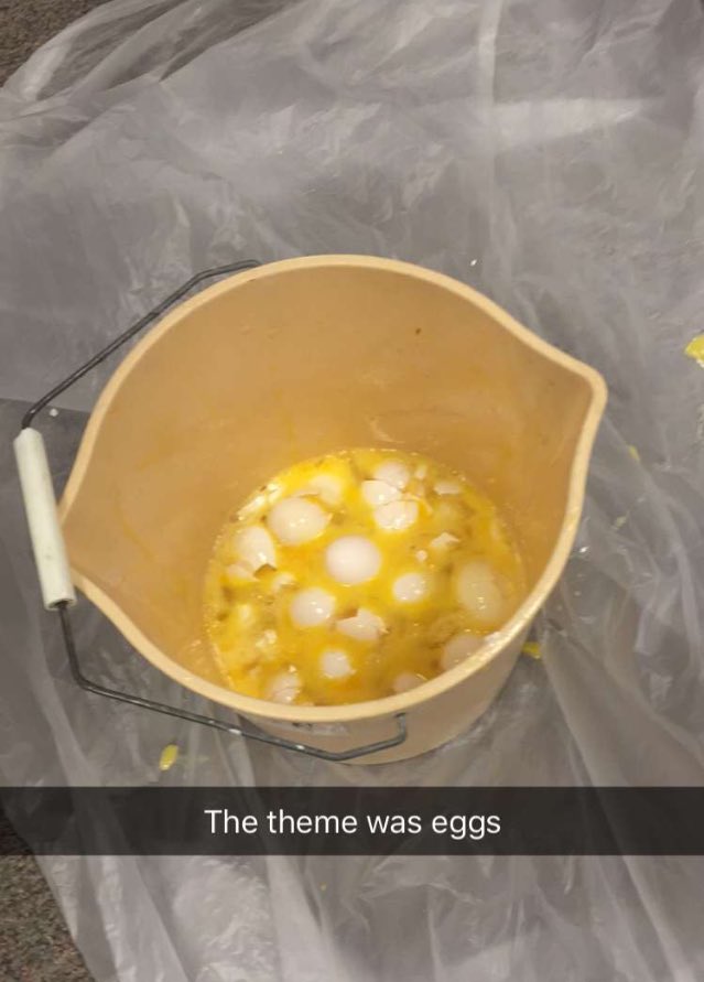NaCinder16's tweet photo. congrats on a great show you lovelies! now, enjoy some pictures of those EGGS 🍳🍳🍳 https://t.co/2E82kKWCo0
