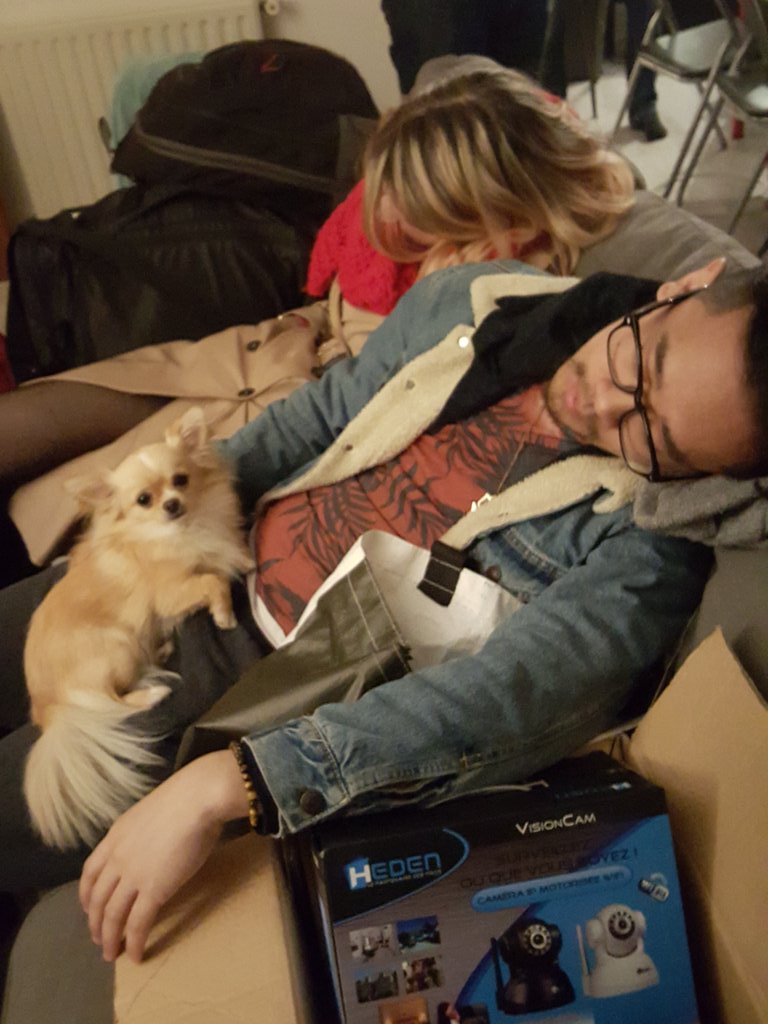 Le chien qui prend sa revanche. Il va graille <a href="/LRB_LoL/">SLY | Sakor 🧙🇰🇭</a> .