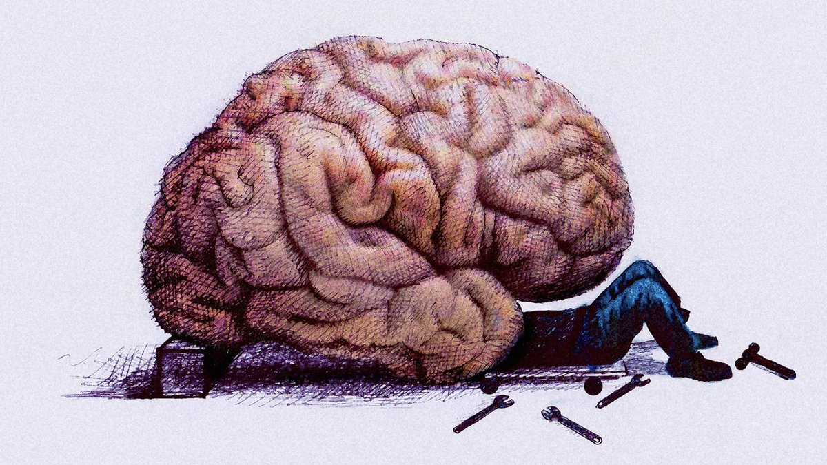 MaiaKThomas's tweet photo. How to Turn on the Part of Your Brain That Controls Motivation. Interesting.  https://t.co/Cw9RwHRBwk https://t.co/oJS0urOvvX