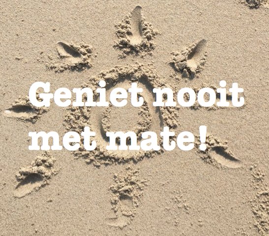 StrandPaal9's tweet photo. Genieten op ons terras vandaag! Tot zo https://t.co/LI3NwysS0a