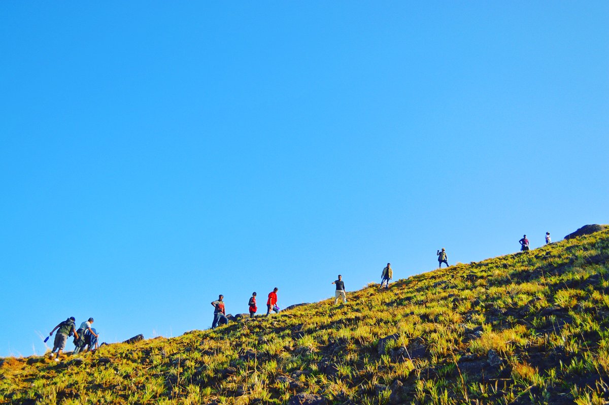 RackPack123's tweet photo. Are you an Adventure kinda person?We have the perfect solution for you..
mail us to know more #adventure #adrenaline https://t.co/FSeYycUsy4