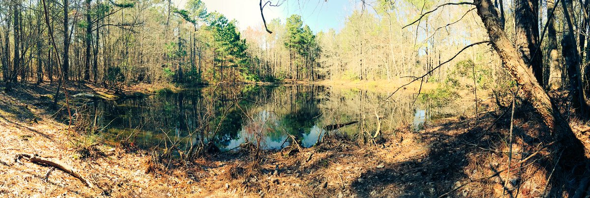 PhotoArkansas's tweet photo. We bet you can't find this little hidden serenity☺️🍃 https://t.co/sutyGTQt2a