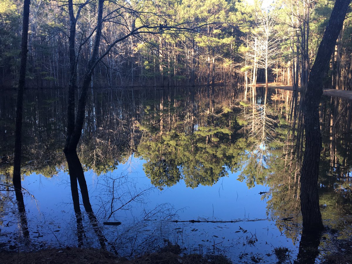 PhotoArkansas's tweet photo. https://t.co/nfYvJrNGDw