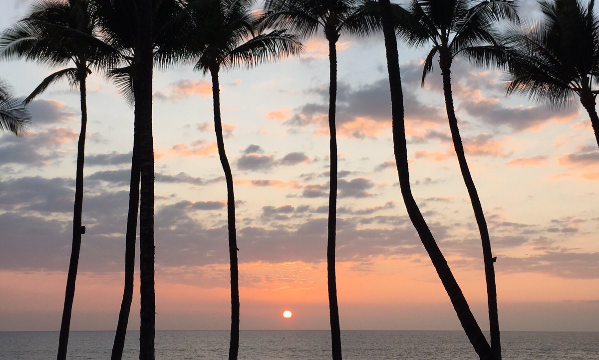 jonnybhd's tweet photo. You wanna see a sunset? Enjoy. @AmyBuchanan03 @dcanderson42 @Saranderson42 @Maui @GrandWailea https://t.co/99OklLCTy5