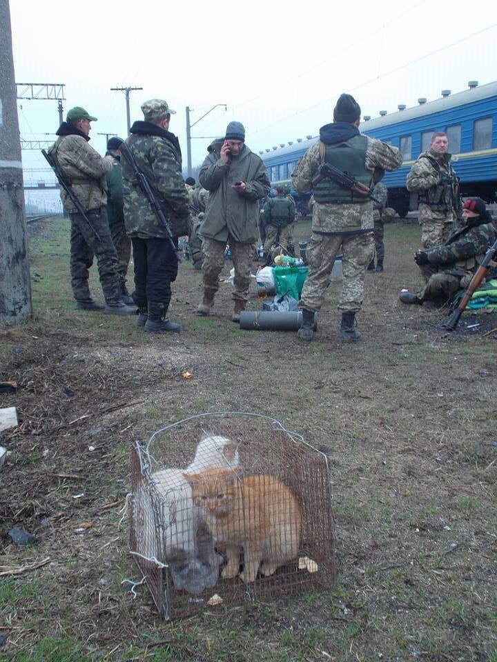 Вечером террористы активизировались. Зафиксировано 38 обстрелов. Враг применял крупнокалиберные минометы, - пресс-центр АТО - Цензор.НЕТ 6203