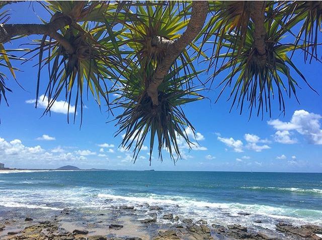 sunshinecoastoz's tweet photo. Here's your weekly dose of sunshine with our fave #VisitSunshineCoast pics => https://t.co/Atw483nRis @Queensland https://t.co/jD73Pur1oe