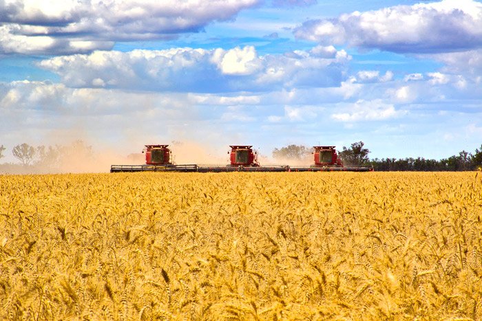 Fresh evidence of renewed confidence in rural and regional Australia anz.co/Z91Jp #anzgrains <a href="/LindenC1/">Christine Linden</a>
