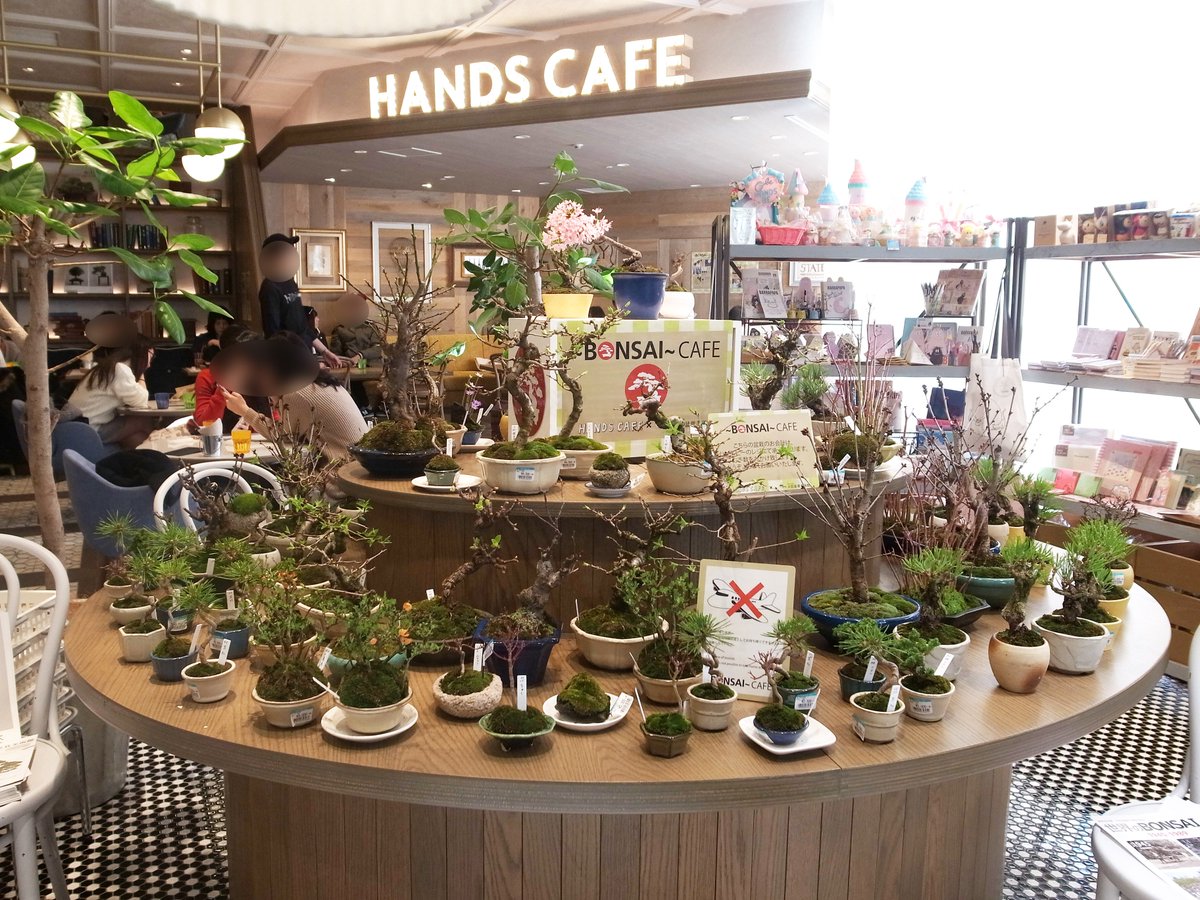 ট ইট র 渋谷コミュニティニュース Scn 2月17日 水 3月14日 月 ハンズカフェ東急プラザ表参道原宿店にて さいたま市大宮盆栽美術館と大宮盆栽協同組合とのコラボカフェ Bonsai Cafe 盆栽カフェ がopen T Co Blvnmpbxc5 T Co ট ইট র 渋谷コミュニティニュース Scn 2月17日 水 3月14日 月 ハンズカフェ東急プラザ表参道原宿店にて さいたま市大宮盆栽美術館と大宮盆栽協同組合とのコラボカフェ Bonsai Cafe 盆栽カフェ がopen T Co Blvnmpbxc5 T Co