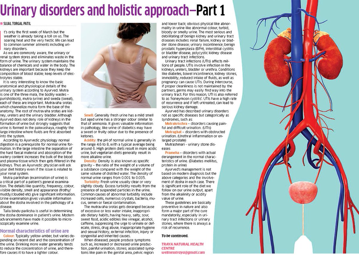 Traya_Health's tweet photo. #healtharticle on #urinaryinfections https://t.co/TYsoVXtr0Q
