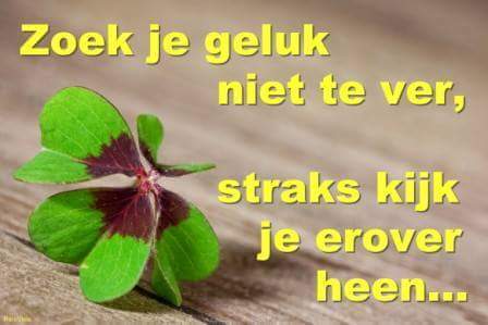 BijlsmaPeter's tweet photo. https://t.co/zcTlWRiYrn