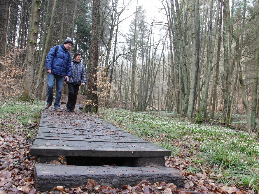 DenikVysocina's tweet photo. Tisíce turistů obdivují koberec bílých květů v Chlébském. https://t.co/lJVVbeS3Fc #chlébské #bledule #turistika https://t.co/pGi1E54PLe