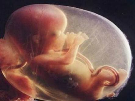 Instagramthot's tweet photo. She's not even born yet but is already way prettier than me 🙌😭😪👌 https://t.co/ZMaHc6l63z