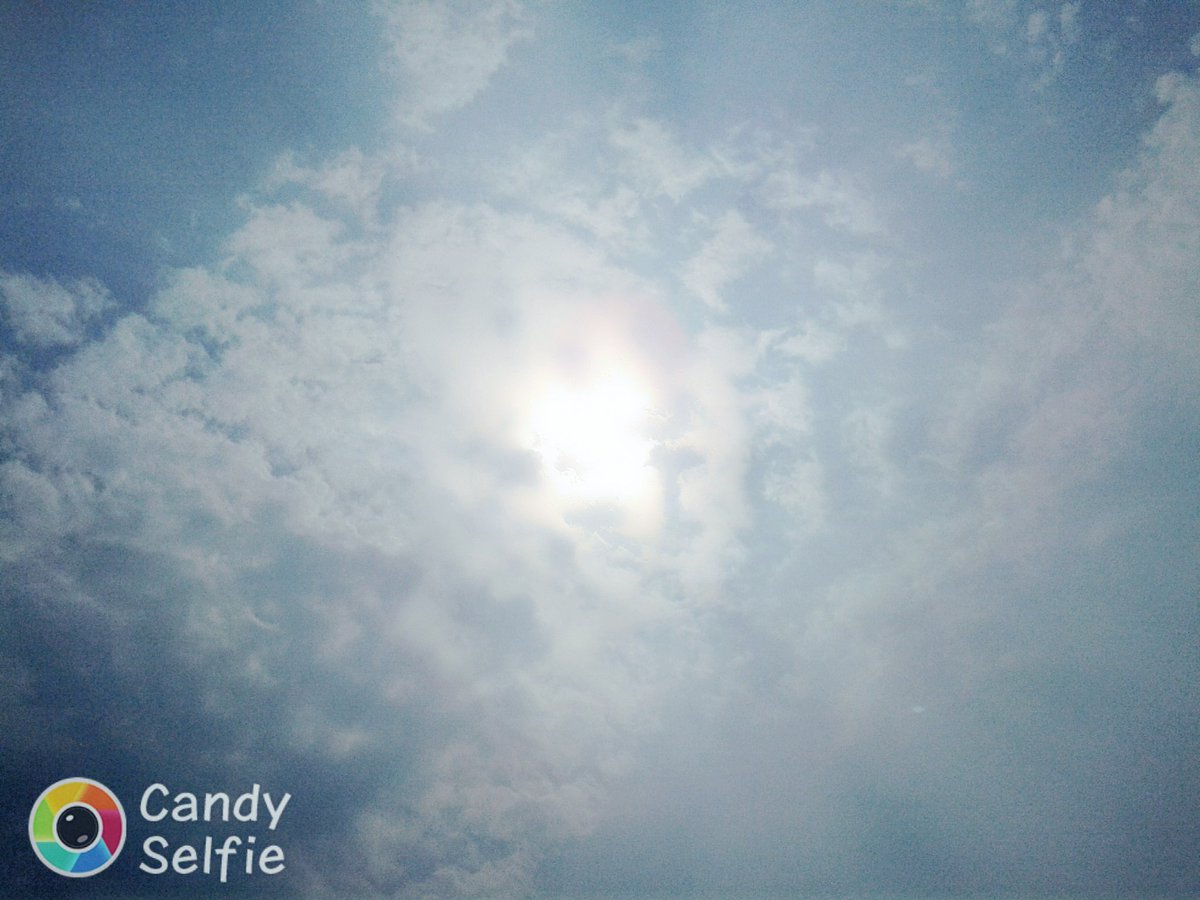 Sapy60's tweet image. Summer coming
#hotness#
#Sun 
#Bluesky