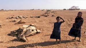 AmanShemsu's tweet photo. @IAmSteveHarvey ,Mr steve; I know you can make a difference against Ethiopian drought, millions are going to die https://t.co/zIXfArIlSD