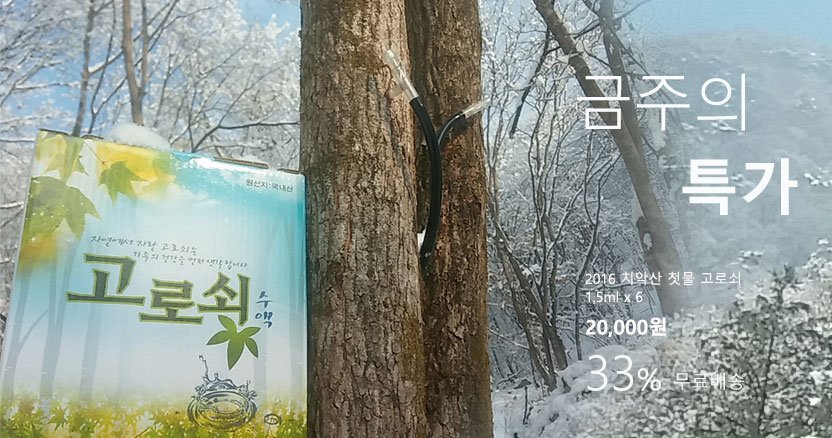 강원마트(gwmart.co.kr) tweet media