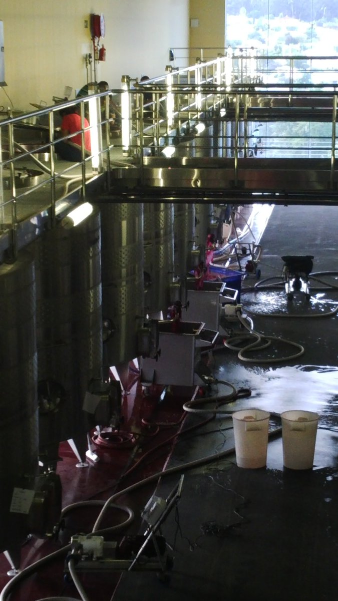 GlenellyEstate's tweet photo. Cabernet mid fermentation so we're doing open pumpovers  Going to barrel in 3-4 weeks #2016harvest https://t.co/tGMv6IFiTC