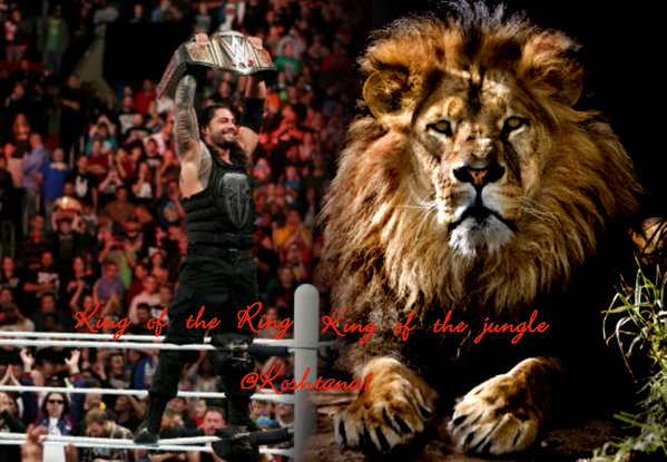 LeeshaNDessy's tweet photo. #Roman #Cr2Ownr #CourageofLion #Heartof Warrior #NxtWHWC @WWERomanReigns @romanreigns568 @Renee__Young https://t.co/8SxME79JtD