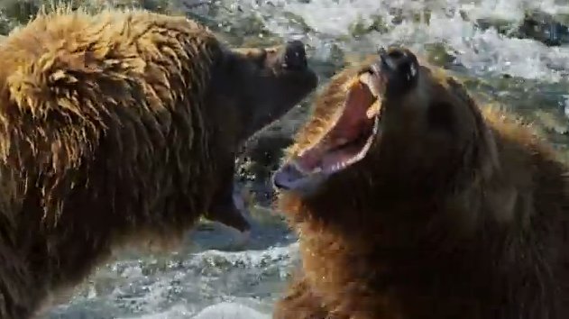 Discovery's tweet photo. Experience some of North America's natural sounds >> https://t.co/QlHiudi4Gu https://t.co/YJ3kCZcoII