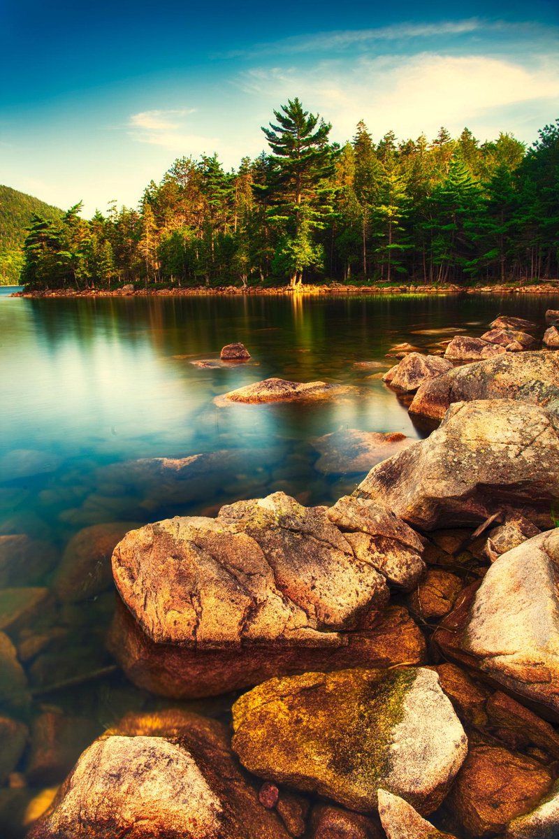 MundoPlantae's tweet image. #nature #sky #sun #summer #beach #beautiful #pretty #sunset #sunrise #blue #flowers #night #tree #twilight #clouds