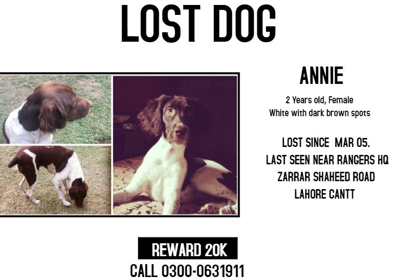 TandooriMurghi's tweet photo. #HelpFindAnnie https://t.co/KaTDtVD9yj