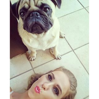 Joy_PhotoCam's tweet photo. Ozzy tira foto com a mamãe? 🐶😍💕📷🐕👱 #mylove
 #puglovers #ozzy  #pug #pugbebe https://t.co/Qho3xcFmxD https://t.co/K9gzvcHQlH