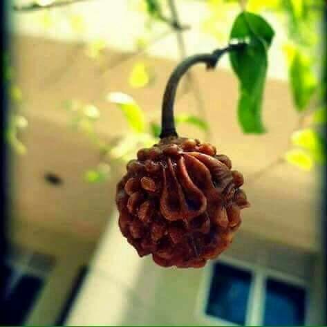 manjunath_smm tweet picture