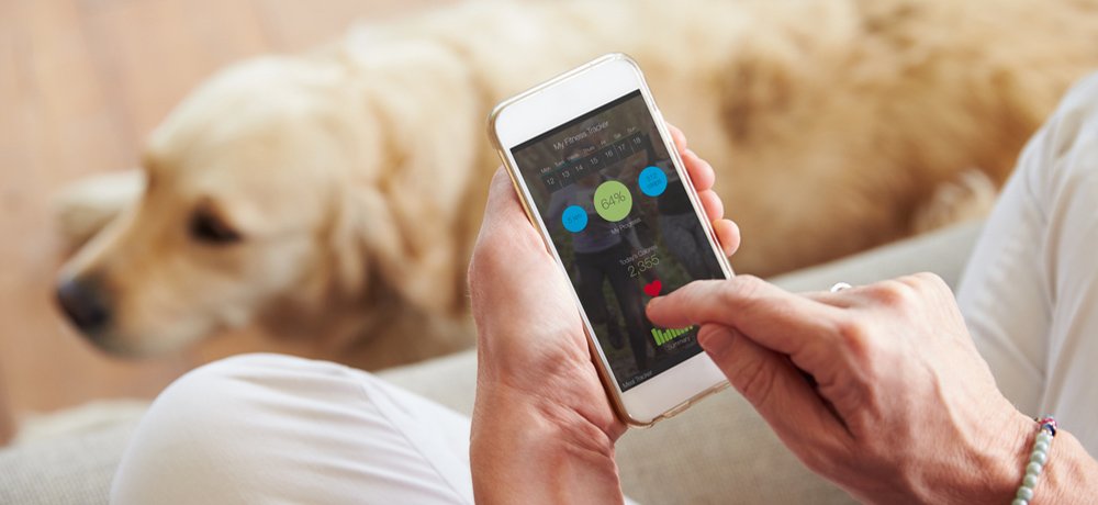 Going public: iPhone app collects Parkinson’s data
<a href="/Sagebio/">Sage Bionetworks</a> #Parkinsons #mPower #mhealth
digitalhealthage.com/mpower-app-col…