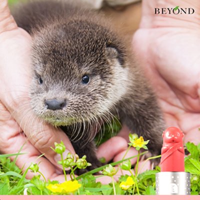 beyondInd's tweet photo. Save 35% on all Save Us! products until 31 March 2016. https://t.co/BqWti5FgMr