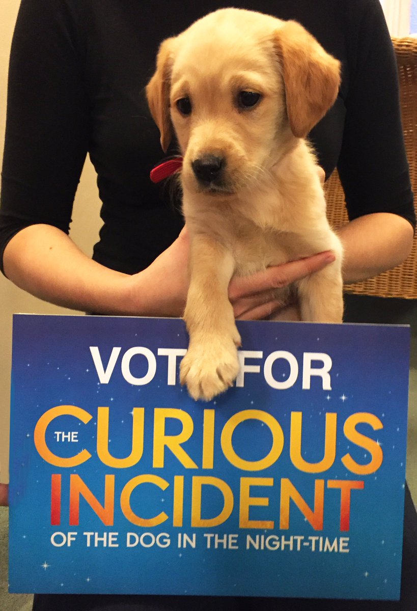 curiousonstage's tweet photo. A little something to help get rid of those Monday blues...
Cast your #OlivierAwards vote at https://t.co/q5TVeL09Jc https://t.co/eqmQfrDSEs