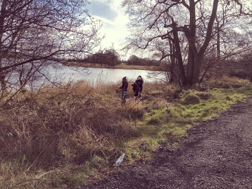 McCarthy_V's tweet image. DkIT Environmental students conducting habitat surveys at Lough Muckno - beautiful sunny morning! #dkitscience