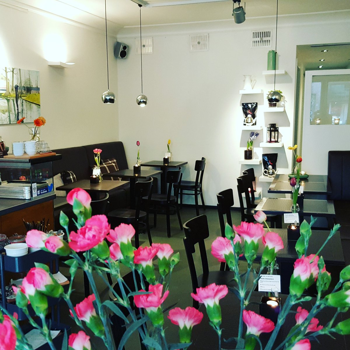 anderekoffie's tweet photo. Zo, wij hebben de bloemetjes weer even buiten gezet; euh, binnen...

#gezelligheid #loveforplants https://t.co/HSJifHrFhC