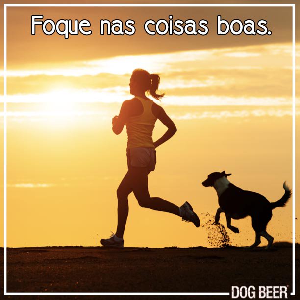 DogBeerBrasil's tweet photo. Aperte o Play e Start a Semana!
#GoodDay #startweek #dogs #morning #monday #batebolabomdia https://t.co/f3OVw6Kr5l