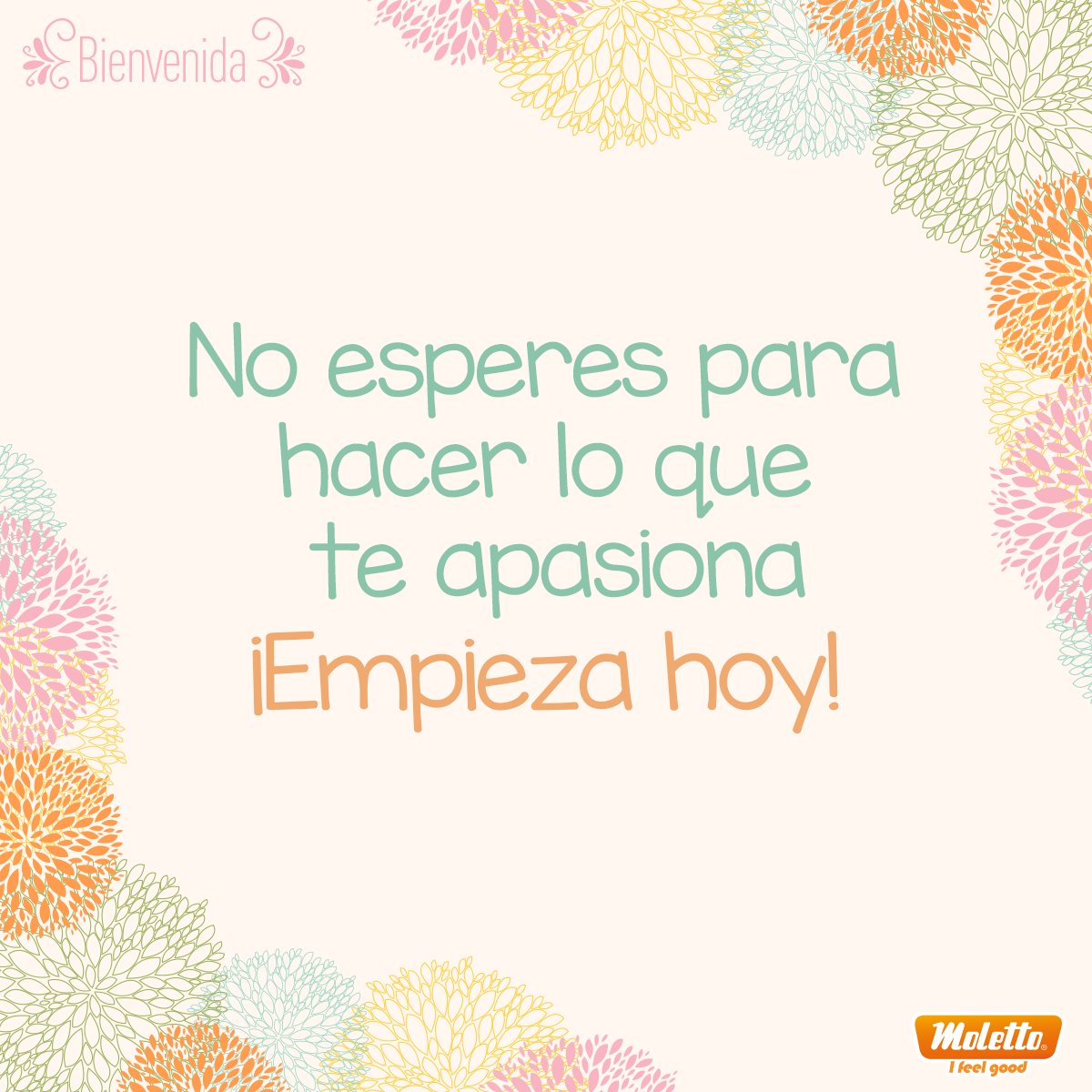 MolettoChile's tweet photo. ¡Hoy puede ser ESE día! https://t.co/Wp7jbugaZu