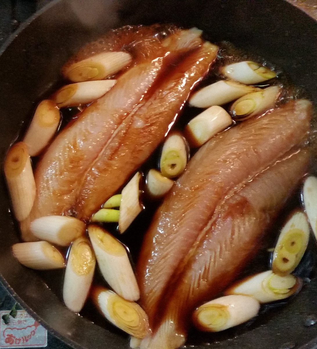 白身魚のフライとかに使われている魚 実はこんな姿をしていた Togetter 白身魚のフライとかに使われている魚 実はこんな姿をしていた Togetter