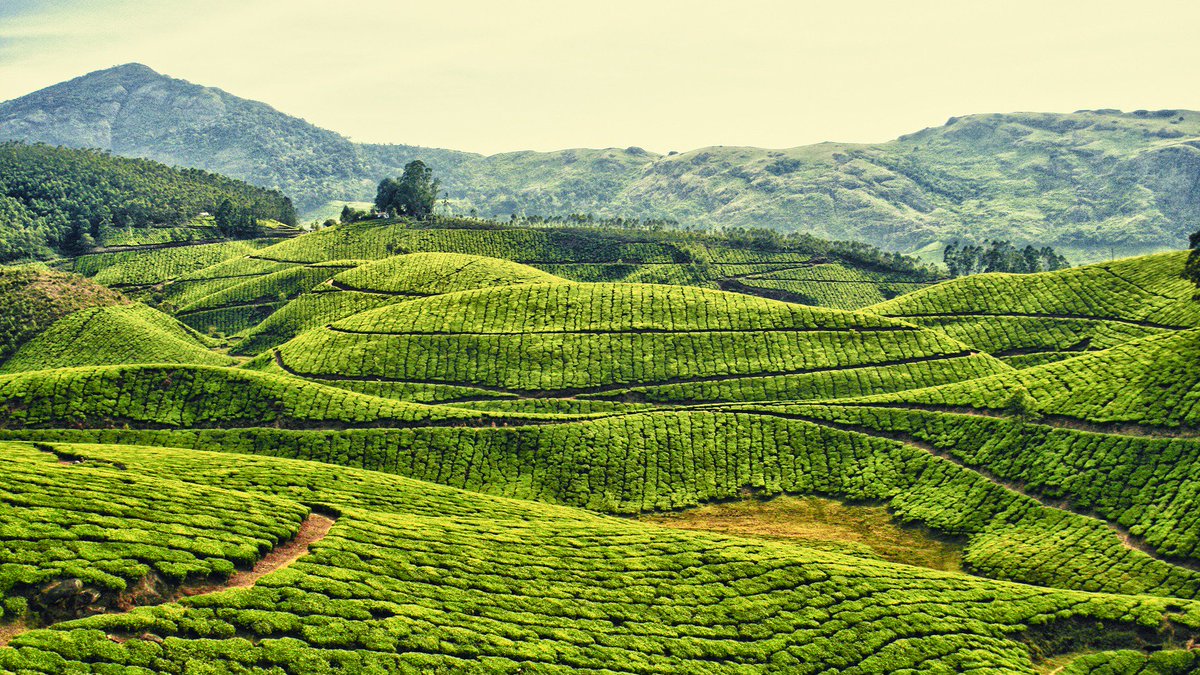 IndianNature's tweet photo. Beautifully green Kerala. https://t.co/XB9QiYWxqv