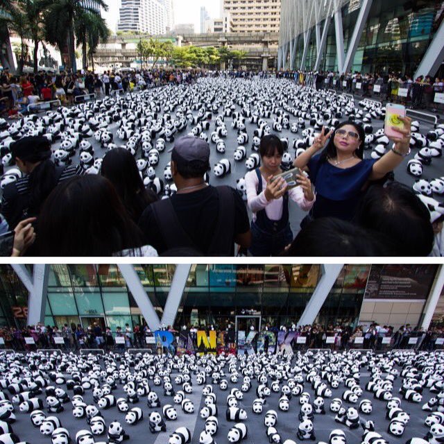 KParchYVR's tweet photo. #1600pandasplusth at #centralworld #bangkok https://t.co/uOoLgvZ3Dz https://t.co/VXIvdhtJ3q