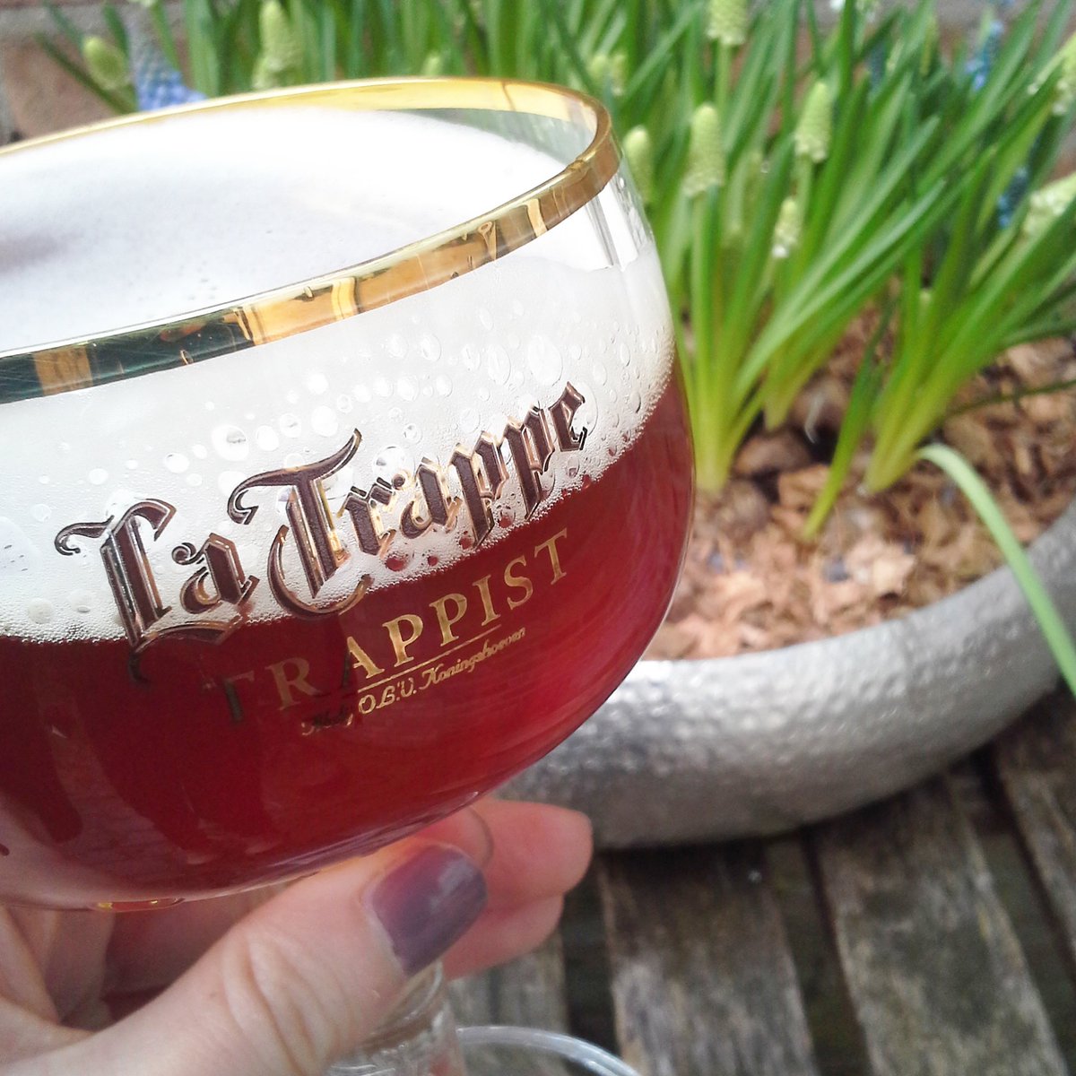 Geniet met La Trappe Isid'or Tijdelijk met 10% korting verkrijgbaar bij #bierrijk check; bierliefde.nl/la-trappe-isid…