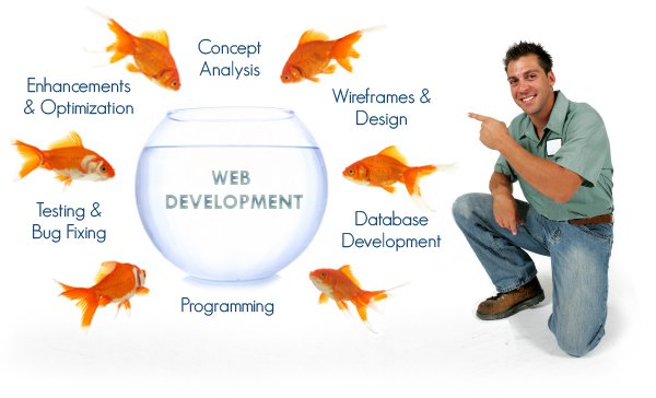 impulsetek's tweet photo. Develop #website for your #new #brand or #startup #business using world's best #CMS @http://impulsetek.com https://t.co/QGHGkE2MjX