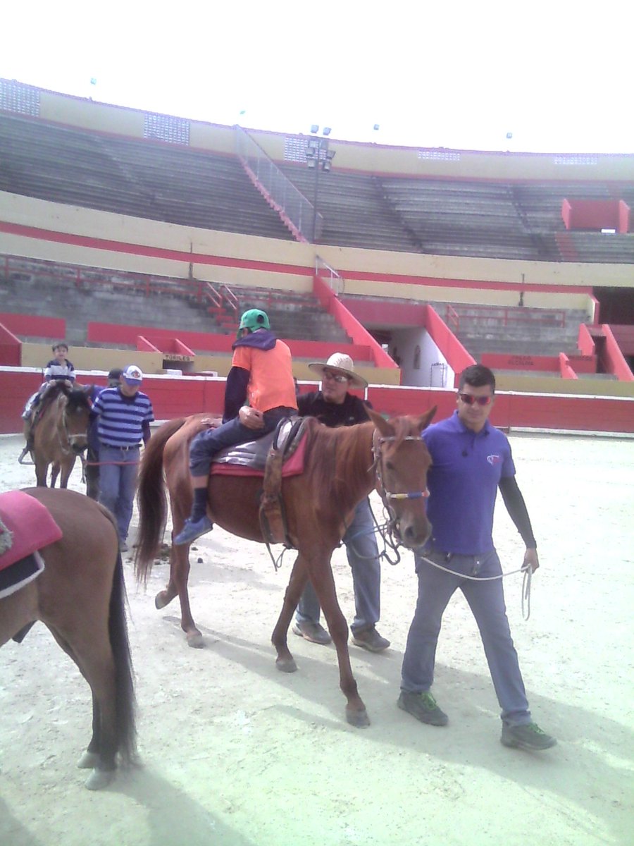 Equinoterapia's tweet photo. Método Equino que ayuda la comprensión sensorial con los equinoterapeutas de @GobdeMerida @GobAlexisR @GiorgiRey https://t.co/m3FQQBvnju
