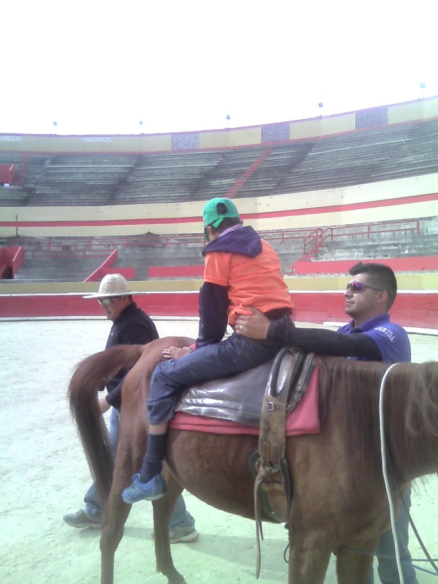 Equinoterapia's tweet photo. Método Equino que ayuda la comprensión sensorial con los equinoterapeutas de @GobdeMerida @GobAlexisR @GiorgiRey https://t.co/m3FQQBvnju
