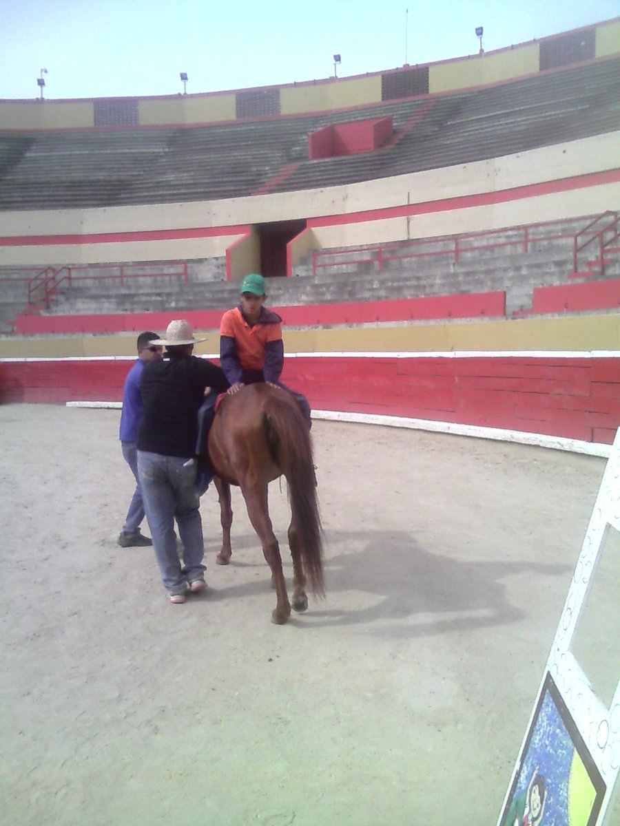 Equinoterapia's tweet photo. Método Equino que ayuda la comprensión sensorial con los equinoterapeutas de @GobdeMerida @GobAlexisR @GiorgiRey https://t.co/m3FQQBvnju