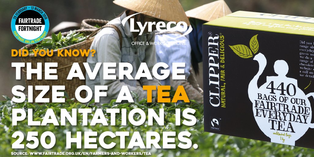 LyrecoUK_IE tweet picture